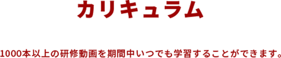 カリキュラム